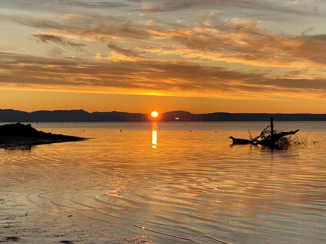 Gradissimo Daire Grado-Pineta Dış mekan fotoğraf